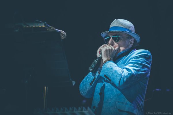 Sir Van Morrison with his hands clasped around a microphone. He is wearing a hat and sunglasses and a fetching blue suit.