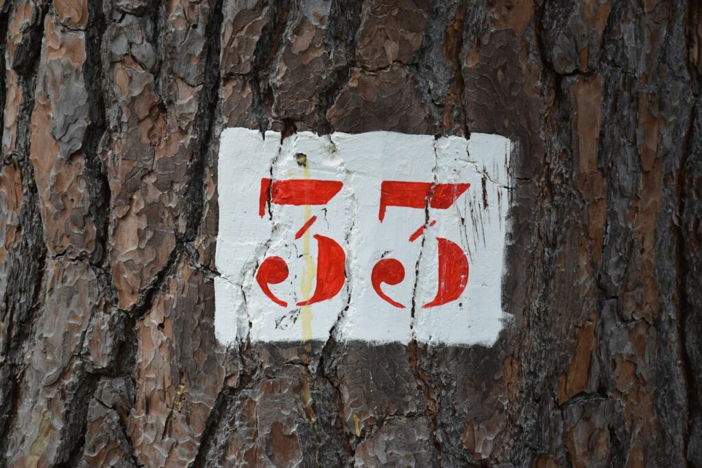 a close up of a tree with a sign on it